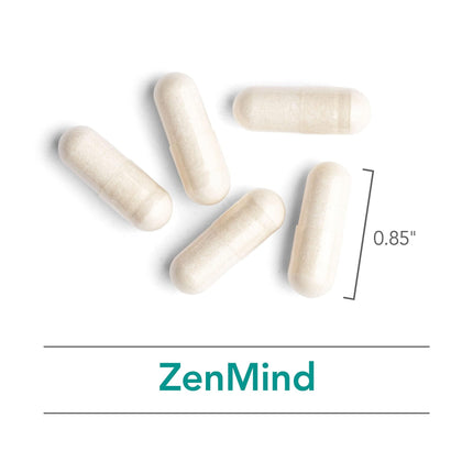 Nutricology ZenMind Supplement - Calmness Support, GABA & L-Theanine, Hypoallergenic, Vegetarian Capsules - 120 Count