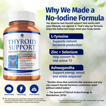 1 Body Thyroid Support Iodine-Free Supplement (60 Count) - Pack of 1
