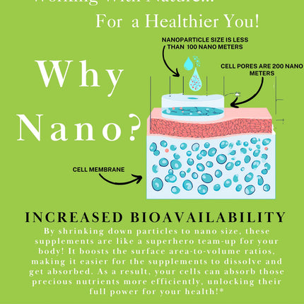 One Planet Nutrition Nano Curcumin Plus 500 mg Veggie Capsules – High Absorption, Vegan, Gluten-Free