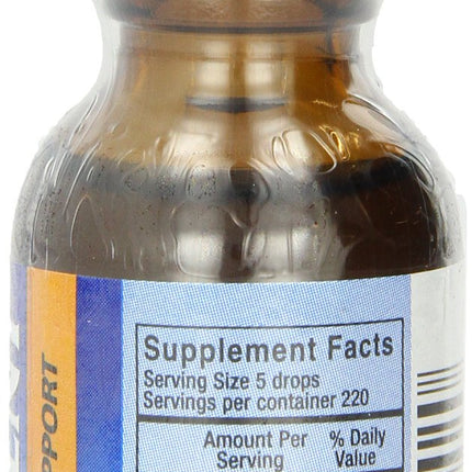 North American Herb & Spice Orega Dent 1-Ounce – Gum & Teeth Support