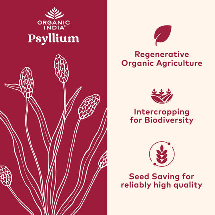 Organic India Psyllium Husk Powder - Fiber Supplement for Digestion (12 oz, Pack of 1)
