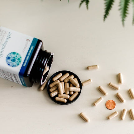 Organic KSM-66 Ashwagandha – 150 Vegetarian Capsules | 1000mg per Daily Serving | Stress Support