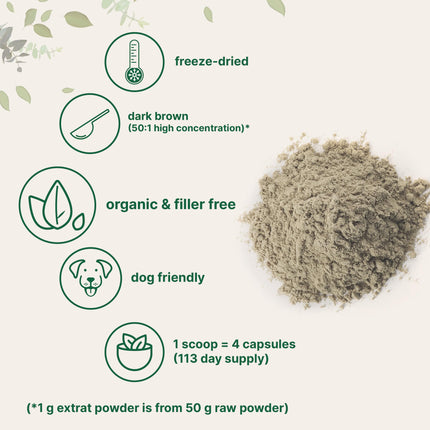 Turkey Tail Mushroom Powder 50:1 Extract - 8 oz Organic Freeze-Dried | Immune Support & Cellular Health (Pet Friendly)