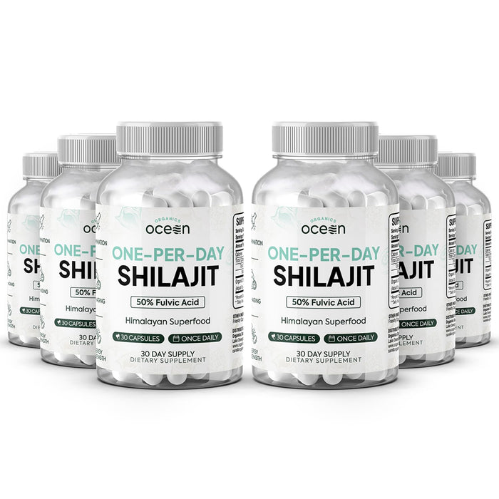 Organics Ocean One-Per-Day Shilajit Capsules – Himalayan Shilajit for Hormone Support – 6 Bottles