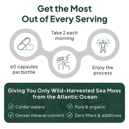 Organics Ocean Wild Sea Moss Capsules – 60 Capsules | Organic Irish Sea Moss, Bladderwrack, Chlorella & Vitamin D3