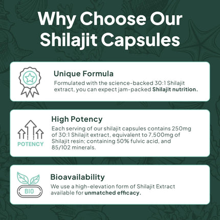 Organics Ocean One-Per-Day Shilajit Capsules – Himalayan Shilajit for Hormone Support – 6 Bottles