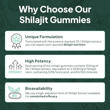 Organics Ocean Shilajit Gummies – Energy, Hormone Support & Skin Health (60 Gummies)