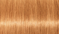 Blonde Expert Pastel 60ml