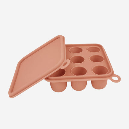 Bloom Bambini Silicone Baby Freezer Cube Trays with Cover in Pink