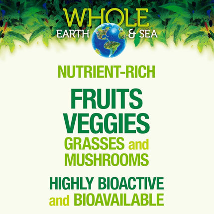 Whole Earth & Sea Organic Fermented Protein & Greens – Vanilla Chai