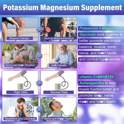 Potassium Magnesium Gummies - Ashwagandha 200mg, Mg Glycinate, B6 & B12 | Sugar-Free 2-Pack