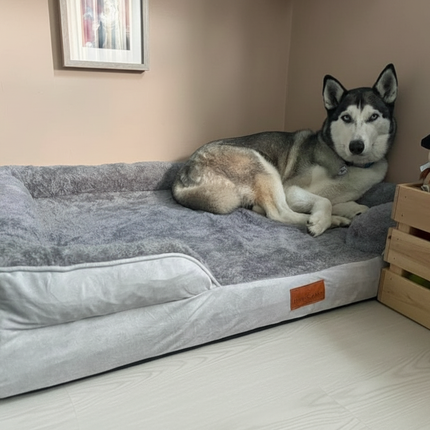 The Belgravia Orthopaedic Dog Sofa™ - Xl