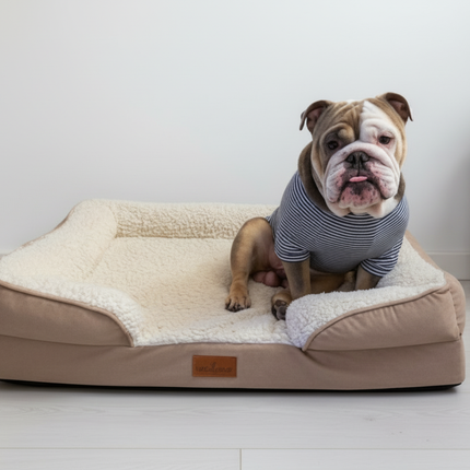 The Belgravia Orthopaedic Dog Sofa™ - Large