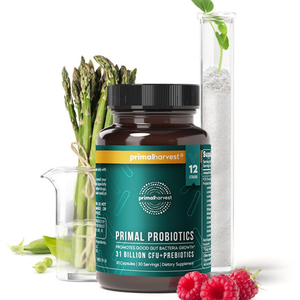 Primal Harvest Probiotics for Women & Men – Daily Probiotic Supplement, 12 Strains, 30 Capsules