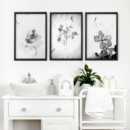 Bathroom Wall Pictures | Set of 3 Botanical Prints