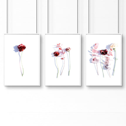 Art flowers | set of 3 framed wall art