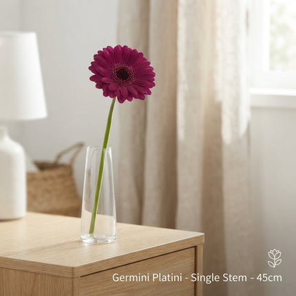 Germini Platini