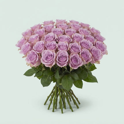 Rose - Rosa - Lovely Aqua
