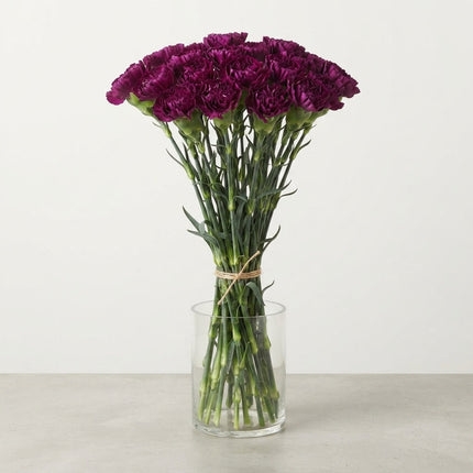 Carnation Standard Golem