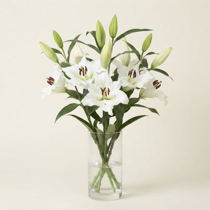 Lily Sempione (OR) (10 Stems)