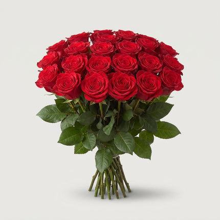 Rose - Rosa - Monte Carlo