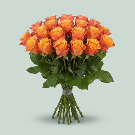 Rose - Rosa - Mélange