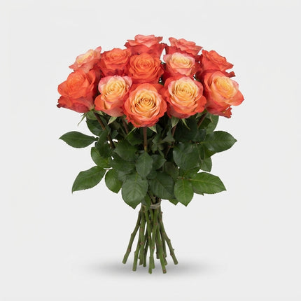 Rose - Rosa - Mai Tai