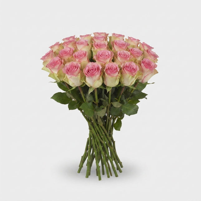 Rose Lovely Jewel (20 Stems)