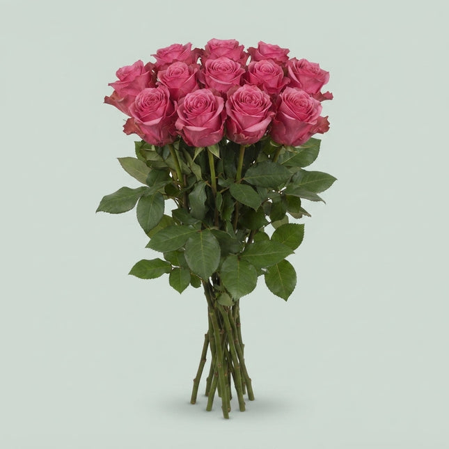 Rose Kiss Me Kate