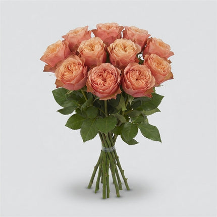Rose - Rosa - Kahala