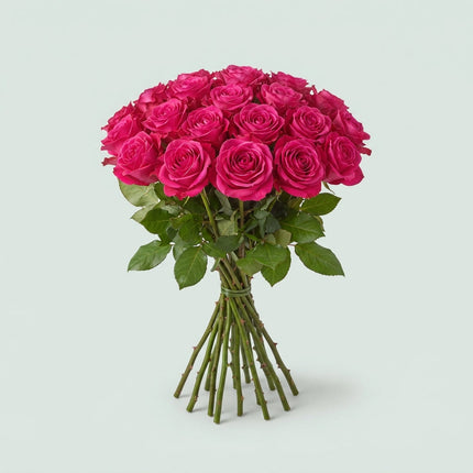 Rose - Rosa - Large Flowered