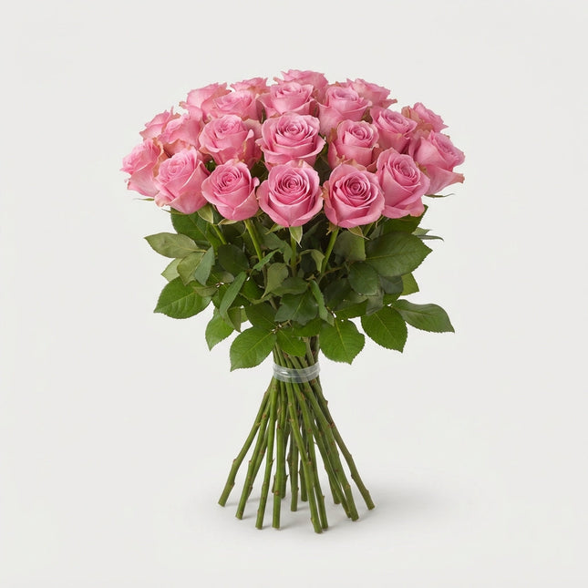 Rose Hermosa