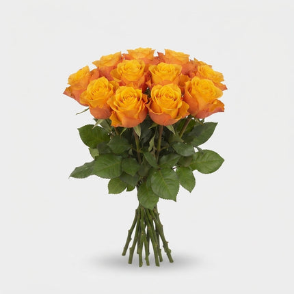 Rose Heliana Orange +
