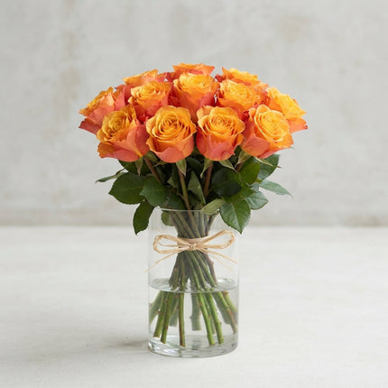 Rose Heliana Orange +