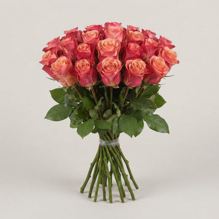 Rose - Rosa - Helene