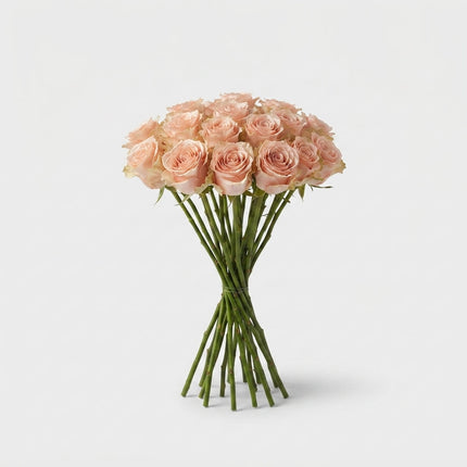 Rose - Rosa - Doris Day