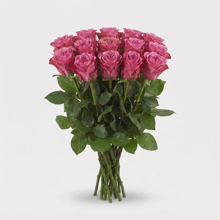 Rose - Rosa - Country Spirit Blues