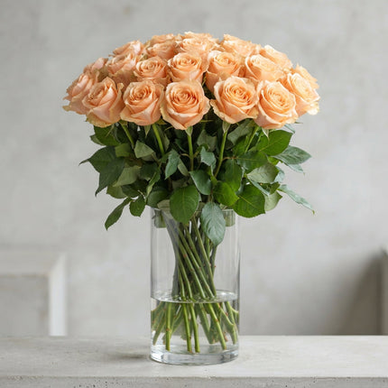 Rose Carpe Diem (20 Stems)