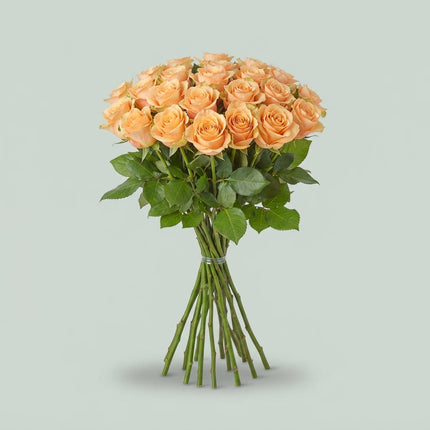 Rose Carpe Diem