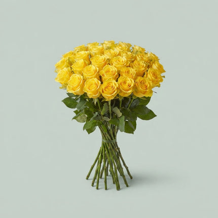 Rose - Rosa - Brighton