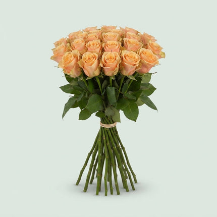Rose - Rosa - Alchemy