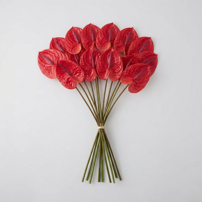 Anthurium Enjoy