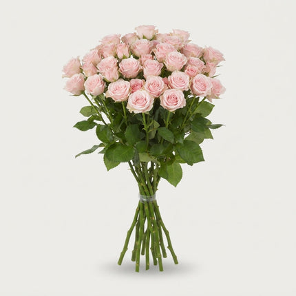 Spray Rose - Rosa - Lydia