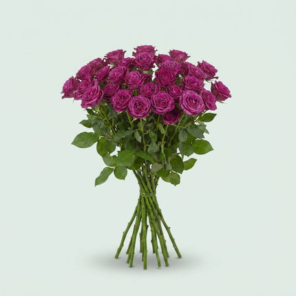 Spray Rose - Rosa - Cheyenne