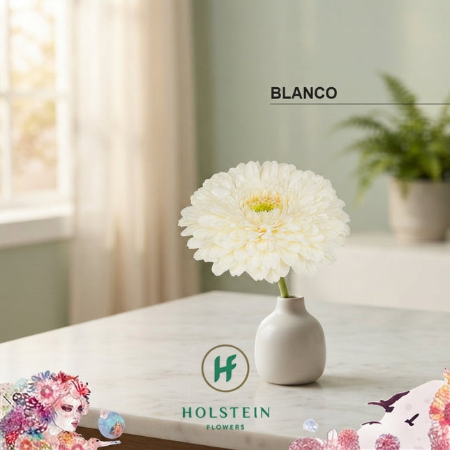 Germini Gerponi Blanco (20 Stems)