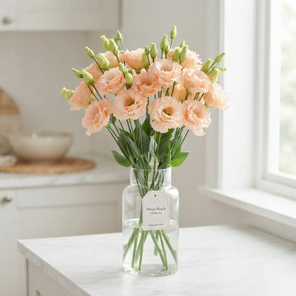 Lisianthus Alissa Peach