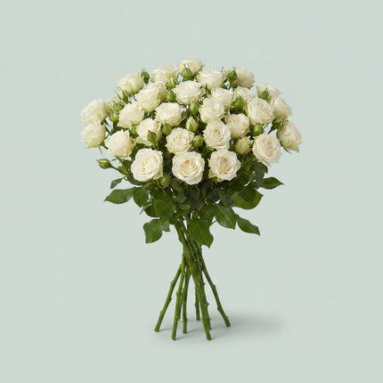 Spray Rose - Rosa - Bridal Flow