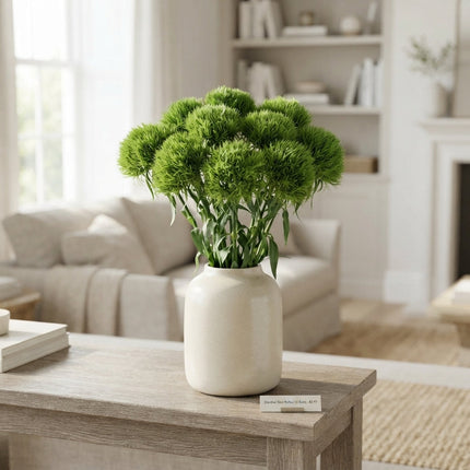 Sweet William ‘Kiwi Mellow’ Green Cut Flowers – 50cm