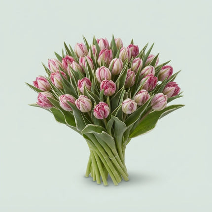 Tulip Flash Point
