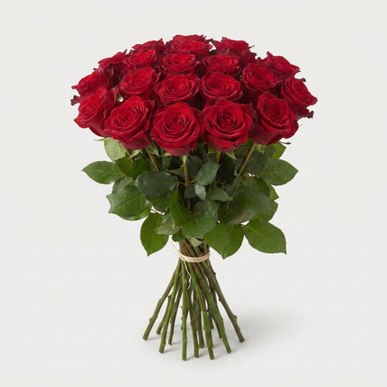 Rose - Rosa - Rhodos
